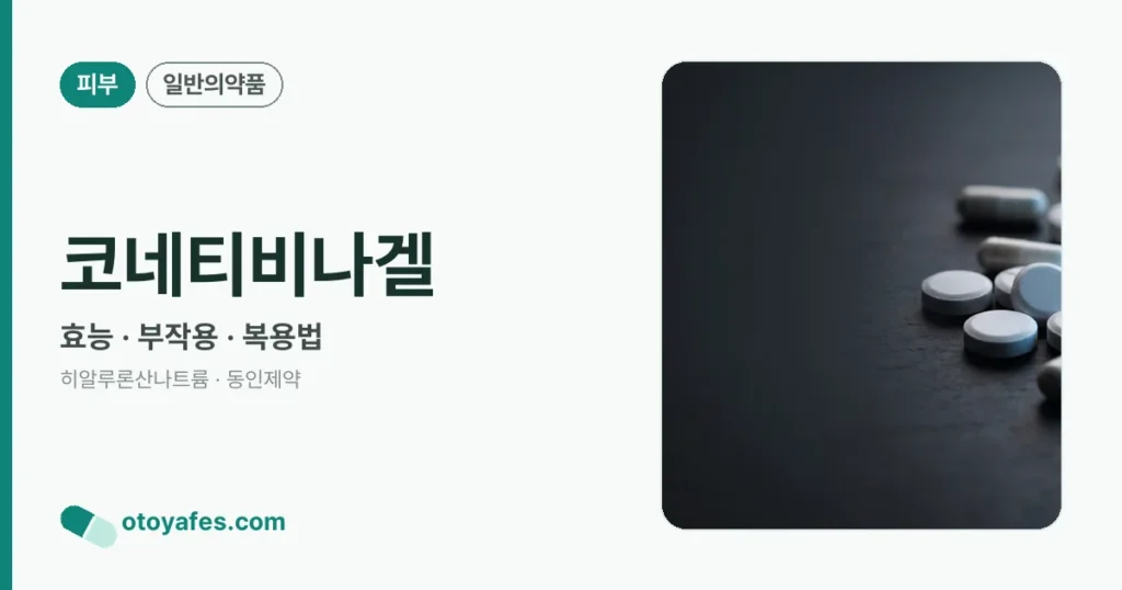 코네티비나겔 정리 썸네일