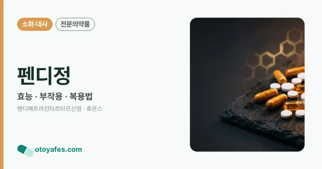 펜디정 정리 썸네일