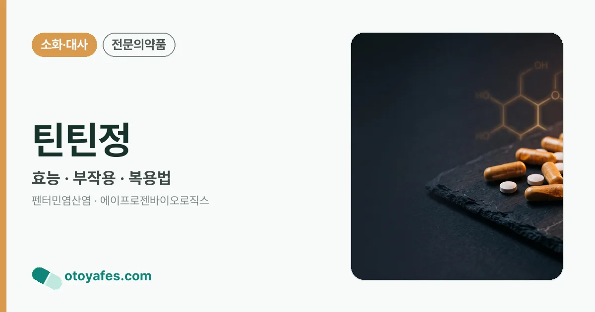 틴틴정 정리 썸네일