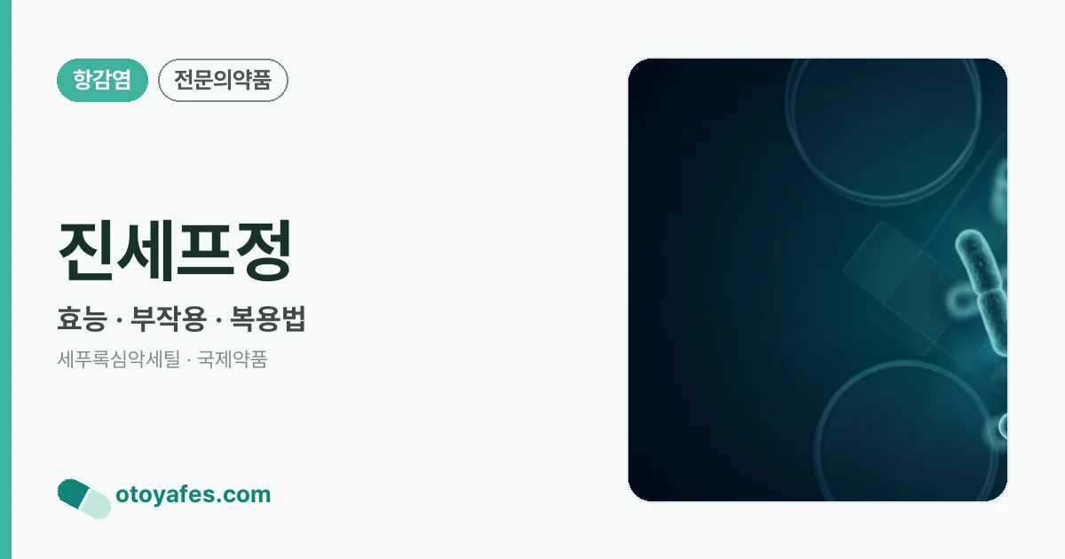 진세프정 정리 썸네일