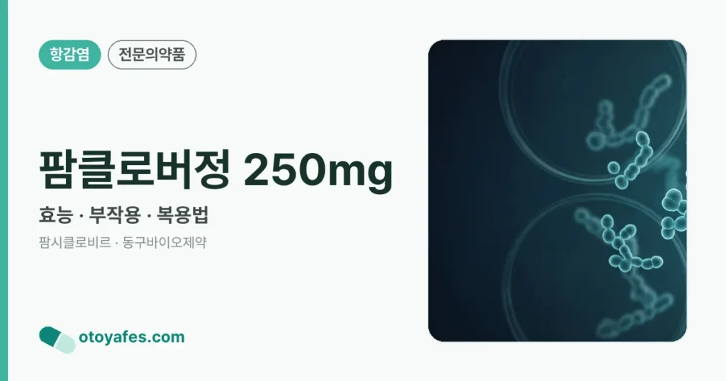 팜클로버정 250mg 정리 썸네일