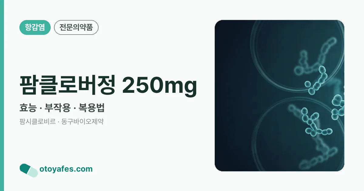 팜클로버정 250mg 정리 썸네일