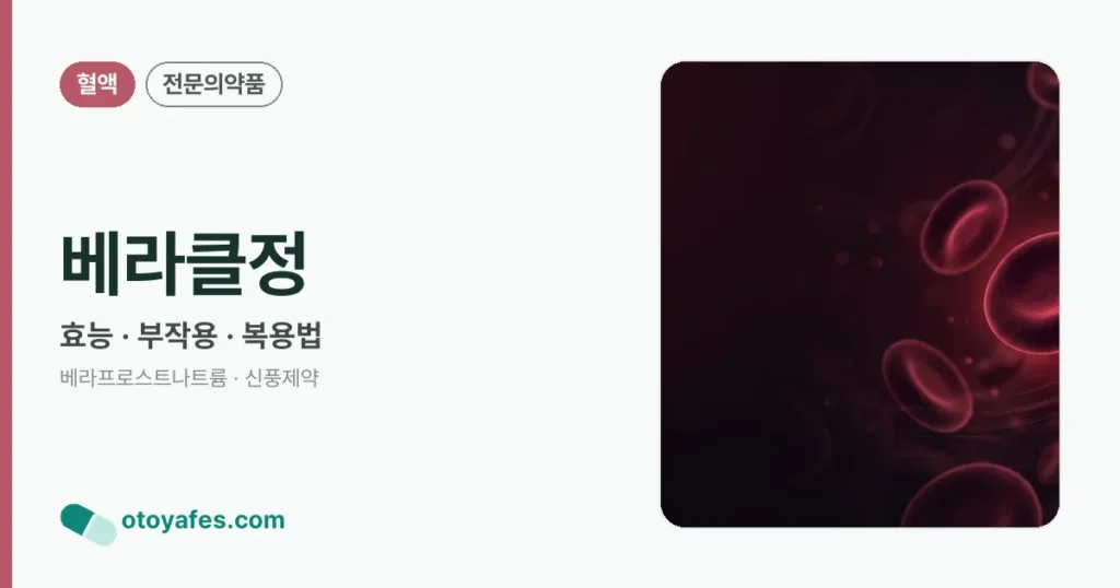 베라클정 정리 썸네일