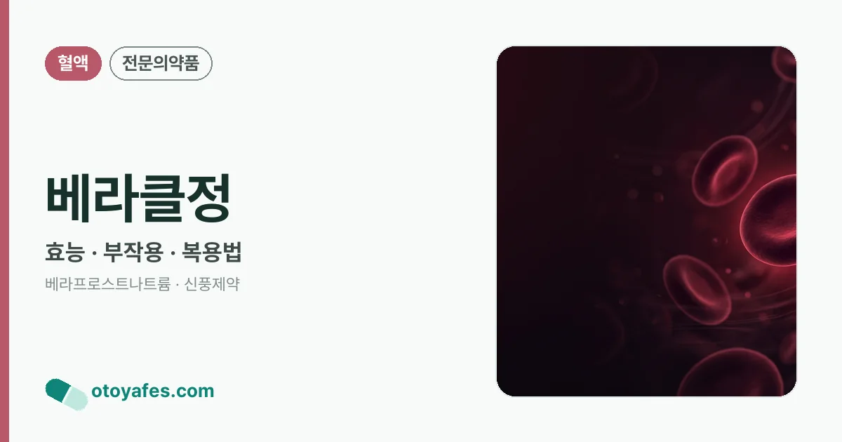 베라클정 정리 썸네일