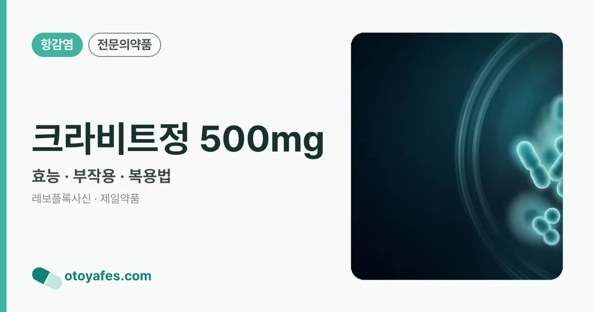 크라비트정 500mg 정리 썸네일