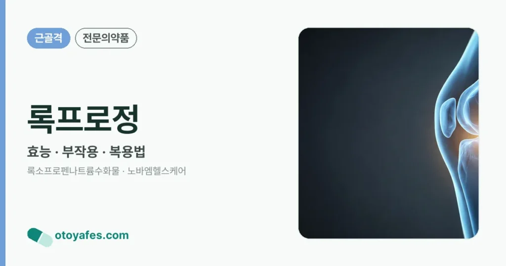 록프로정 정리 썸네일
