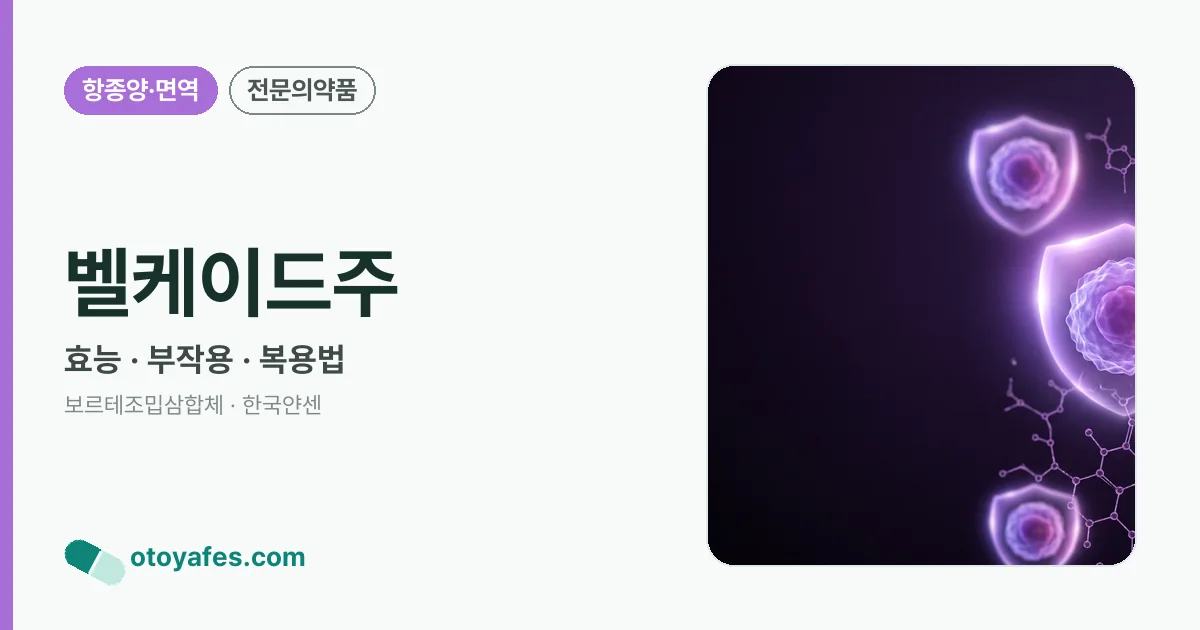 벨케이드주 정리 썸네일