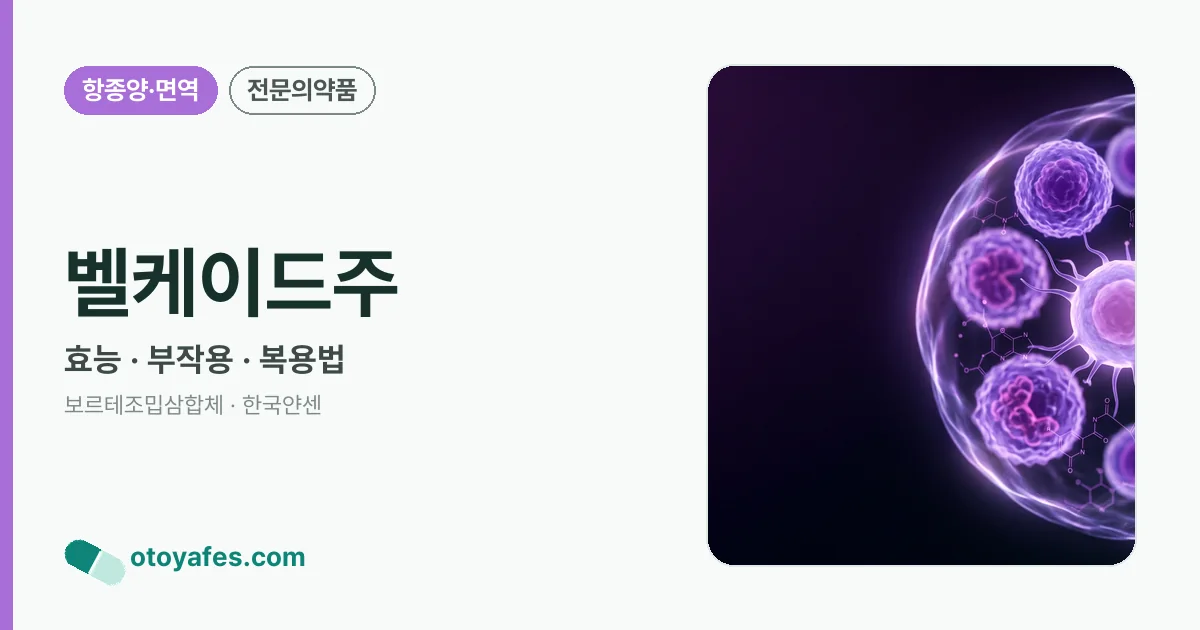 벨케이드주 정리 썸네일