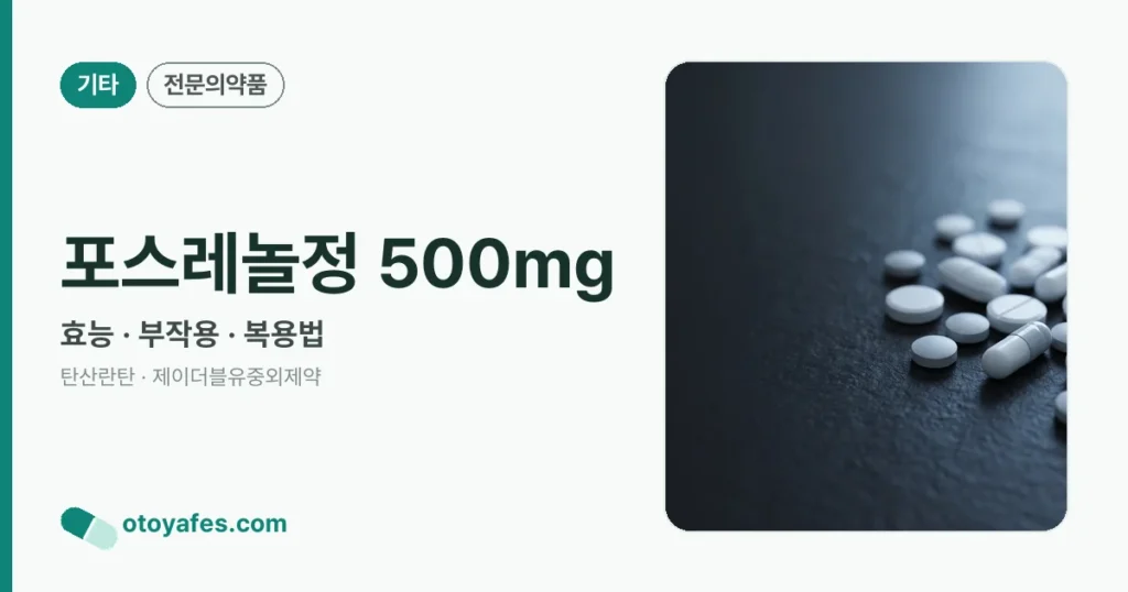 포스레놀정 500mg 정리 썸네일