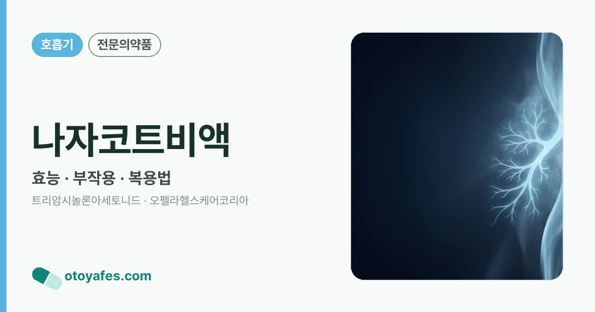 나자코트비액 정리 썸네일