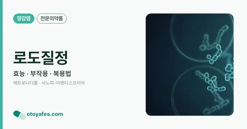 로도질정 정리 썸네일