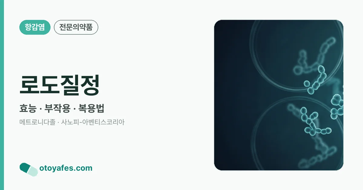 로도질정 정리 썸네일