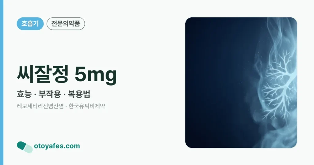 씨잘정 5mg 정리 썸네일