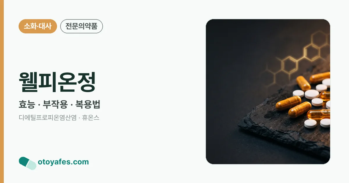 웰피온정 정리 썸네일
