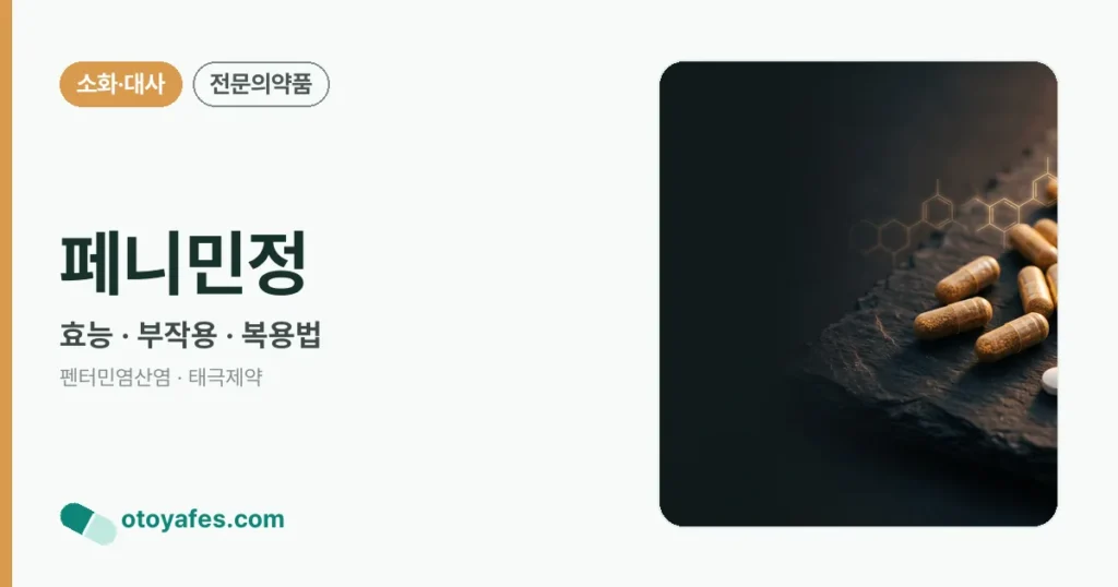 페니민정 정리 썸네일