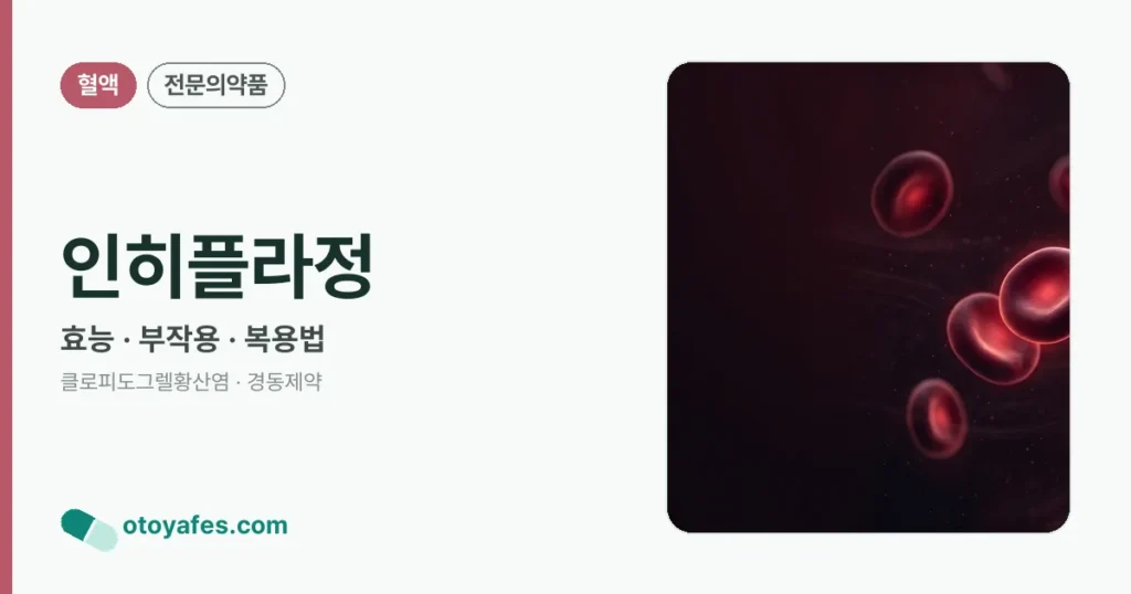 인히플라정 정리 썸네일