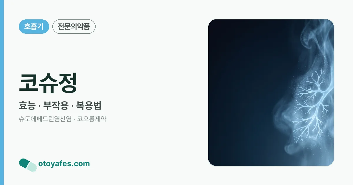 코슈정 정리 썸네일