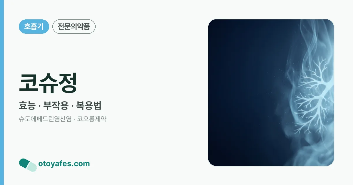 코슈정 정리 썸네일