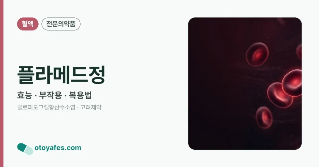플라메드정 정리 썸네일