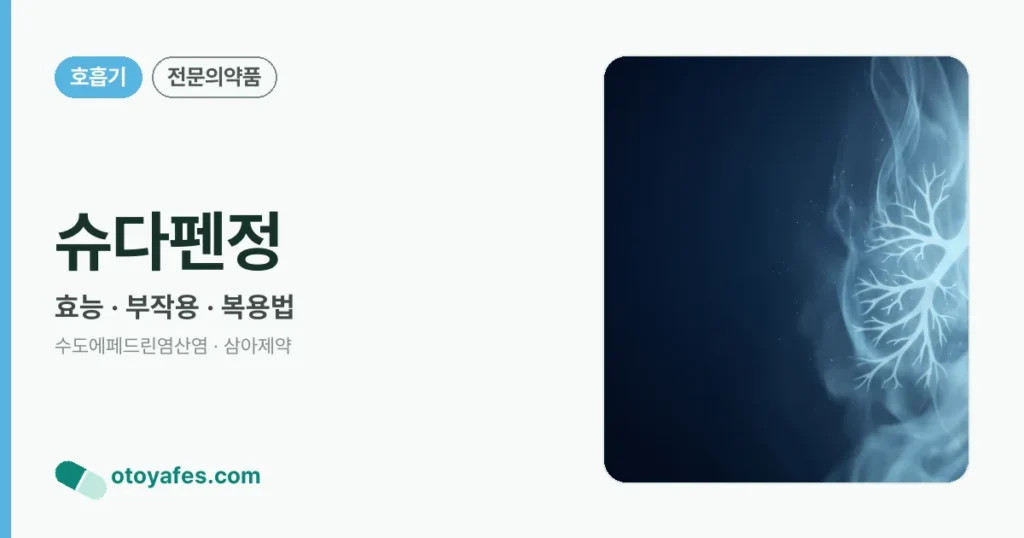 슈다펜정 정리 썸네일