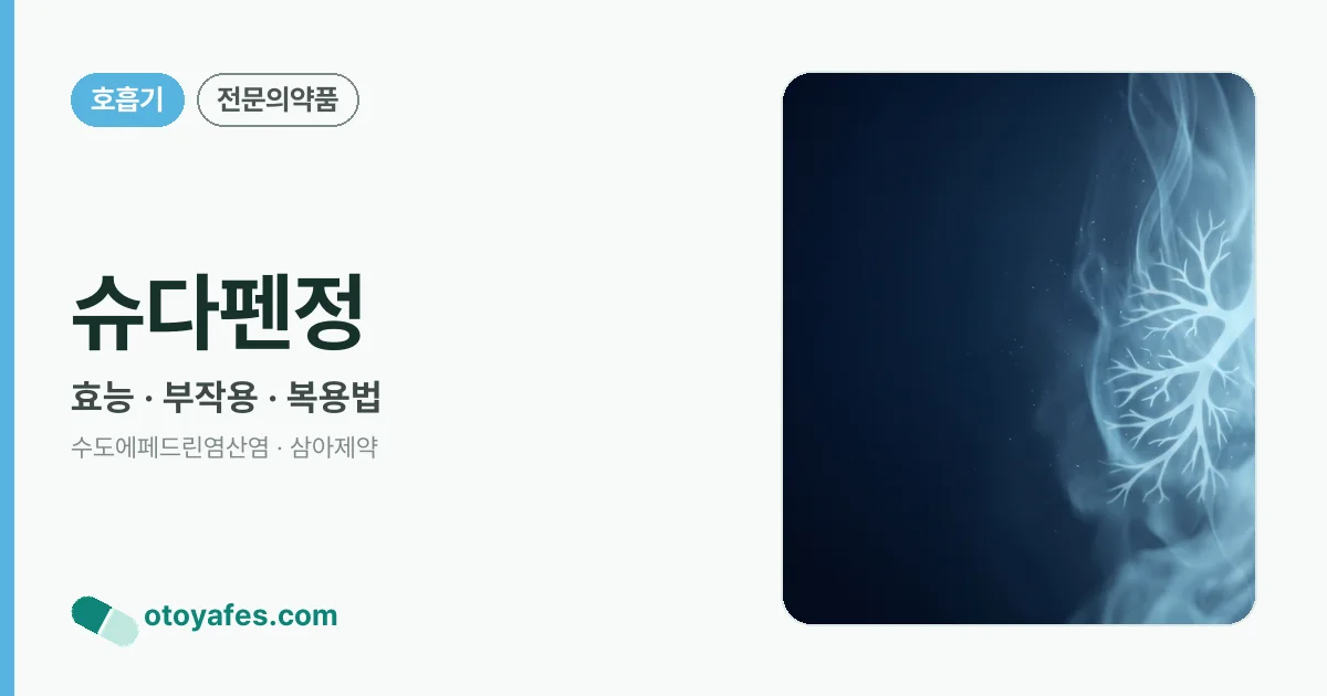 슈다펜정 정리 썸네일
