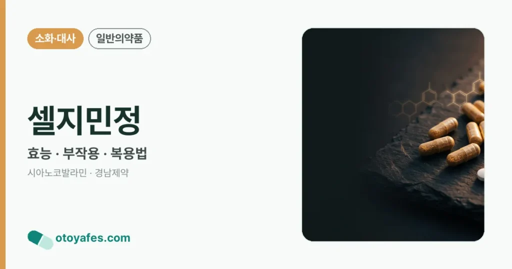 셀지민정 정리 썸네일