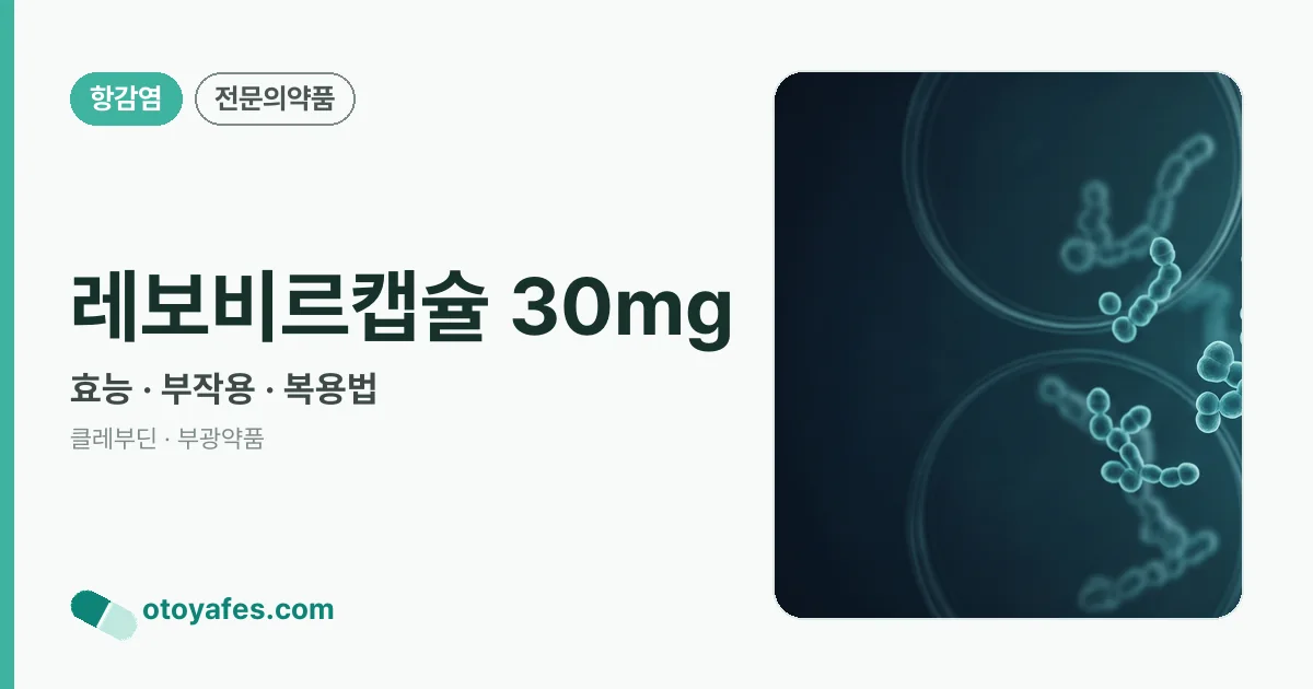 레보비르캡슐 30mg 정리 썸네일
