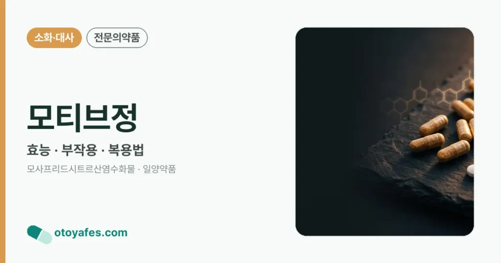 모티브정 정리 썸네일