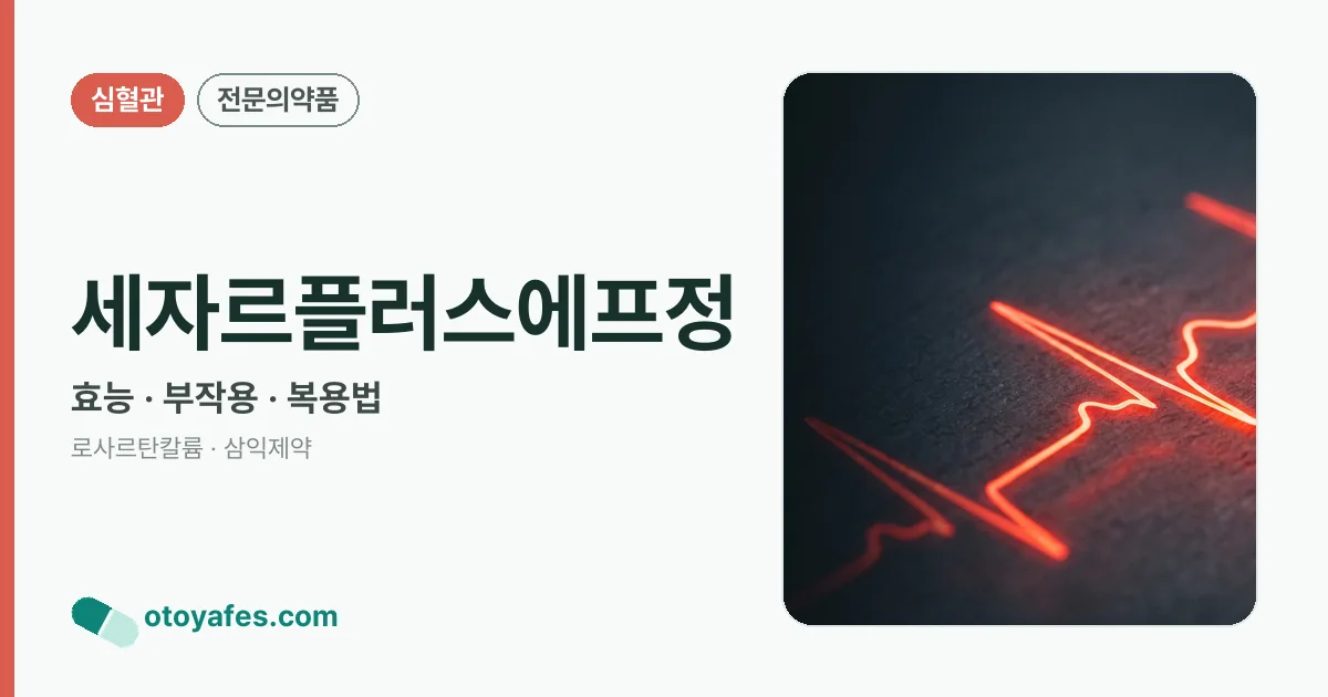 세자르플러스에프정 정리 썸네일