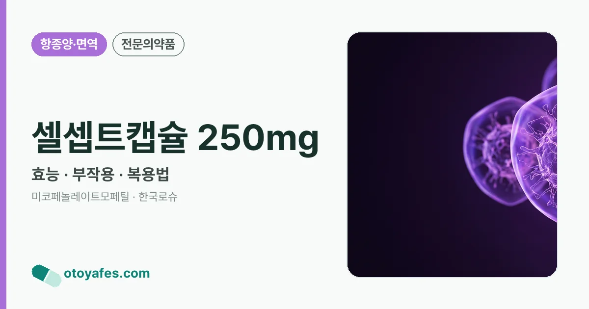 셀셉트캡슐 250mg 정리 썸네일