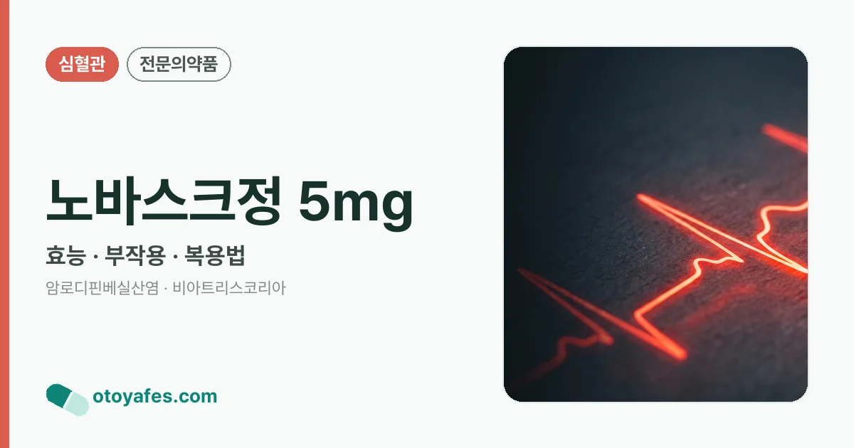 노바스크정 5mg 정리 썸네일
