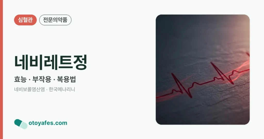 네비레트정 정리 썸네일