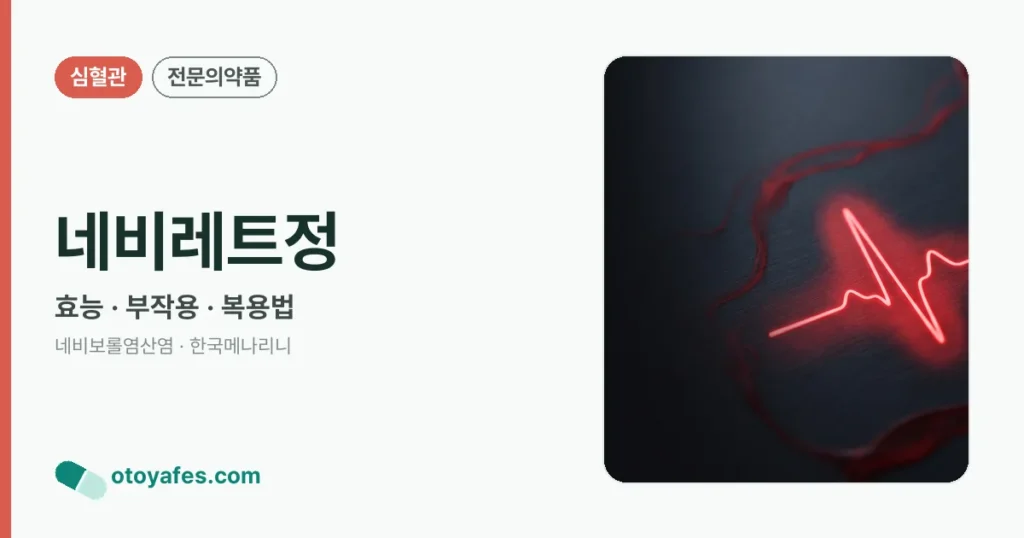 네비레트정 정리 썸네일