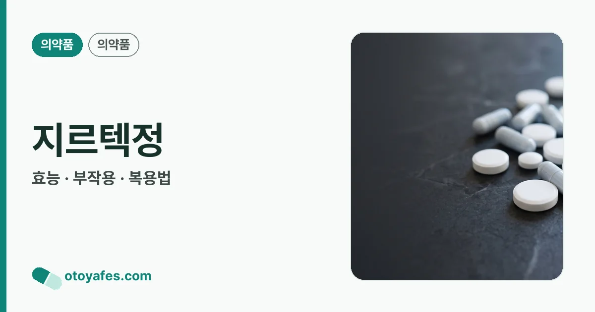 지르텍정 정리 썸네일