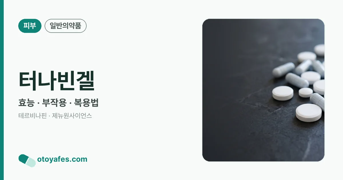 터나빈겔 정리 썸네일