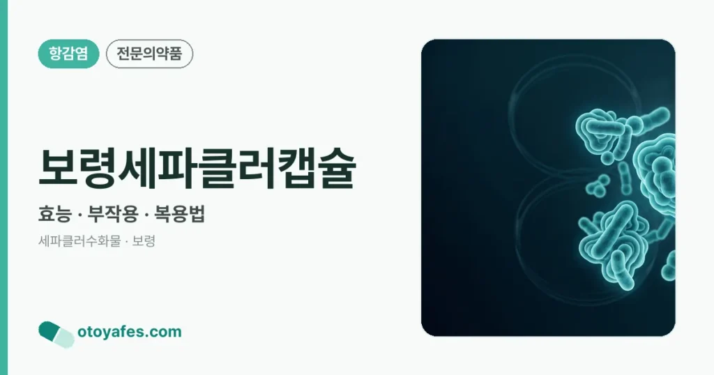 보령세파클러캡슐 정리 썸네일
