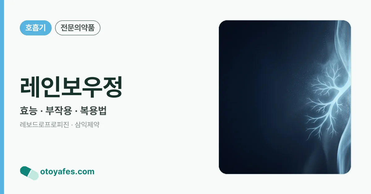 레인보우정 정리 썸네일