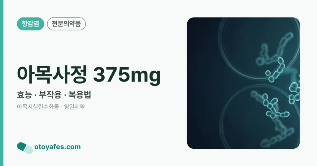 아목사정 375mg 정리 썸네일