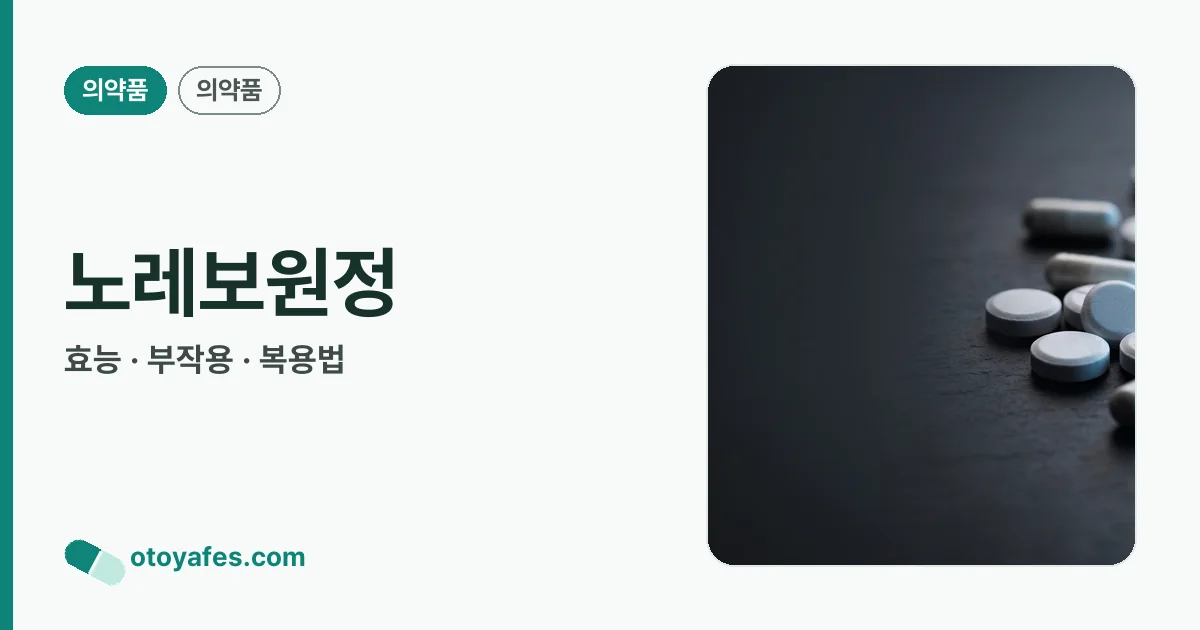노레보원정 정리 썸네일