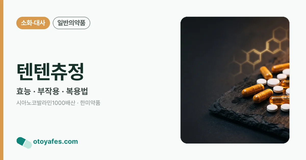 텐텐츄정 정리 썸네일