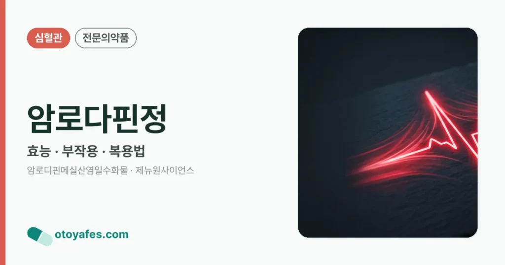암로다핀정 정리 썸네일