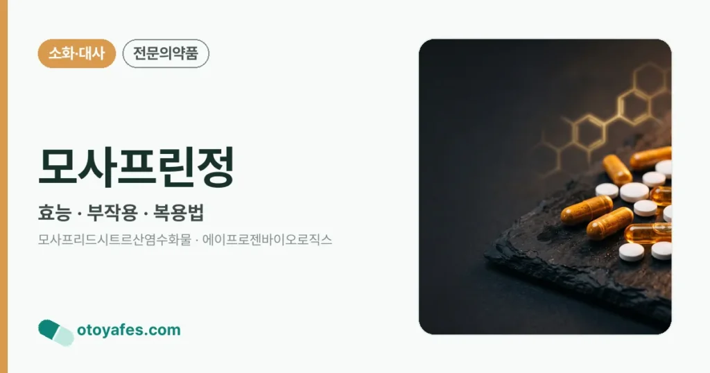 모사프린정 정리 썸네일