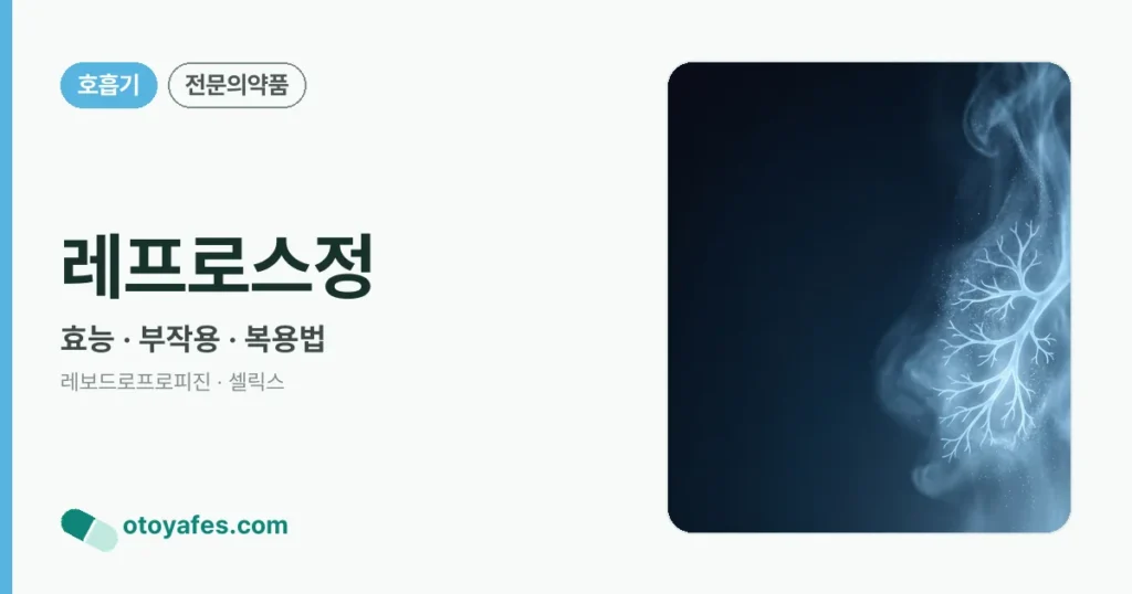 레프로스정 정리 썸네일