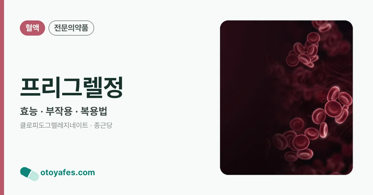 프리그렐정 정리 썸네일
