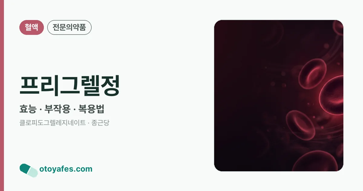 프리그렐정 정리 썸네일