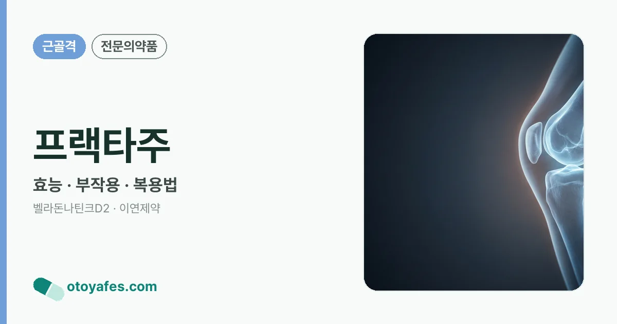 프랙타주 정리 썸네일