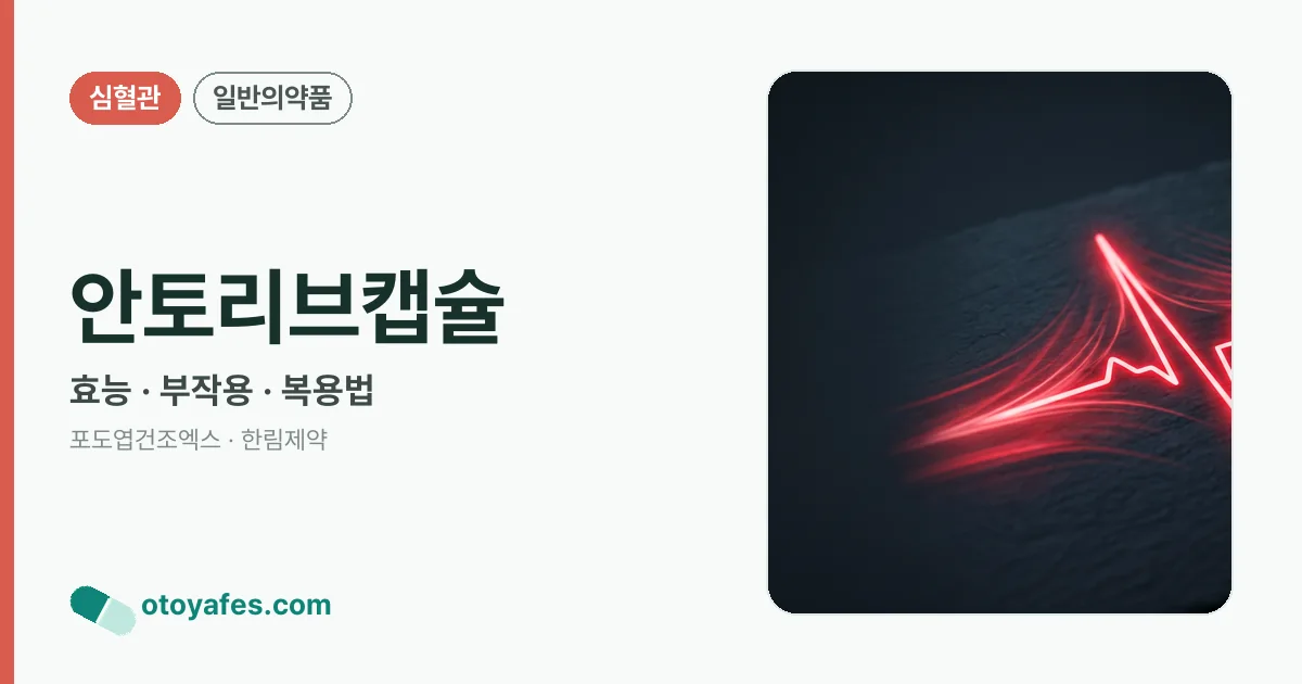 안토리브캡슐 정리 썸네일