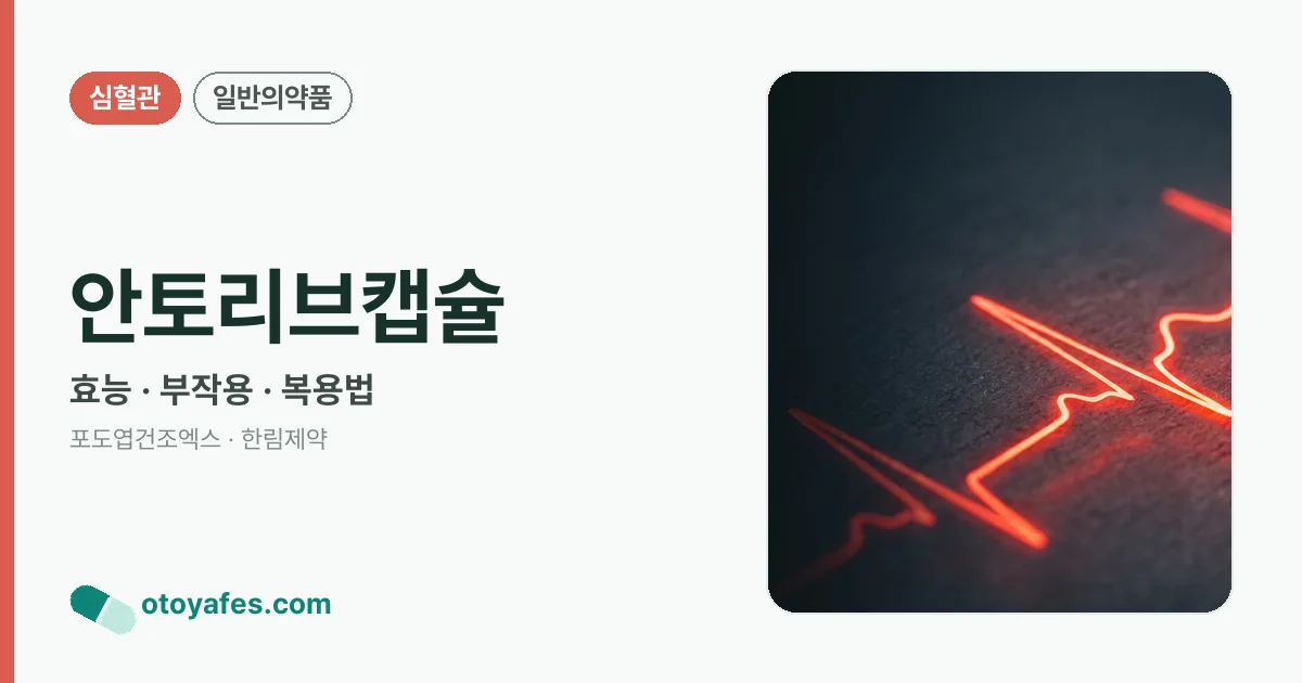 안토리브캡슐 정리 썸네일