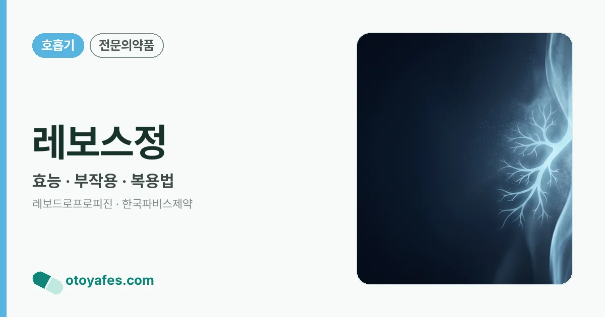 레보스정 정리 썸네일