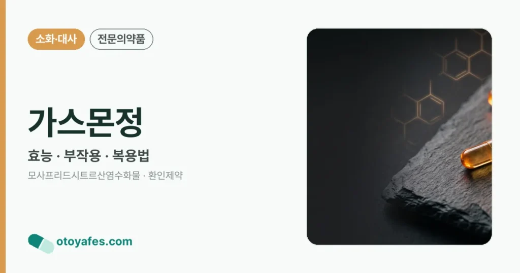 가스몬정 정리 썸네일